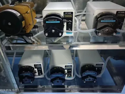 Bactéries d'élimination de l'azote ammoniacal (autotrophes)