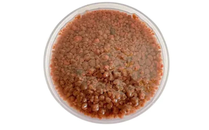 Bio-stimulant anaérobie