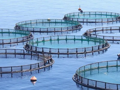 Bio-stimulant anaérobie