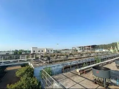 Bactéries de dégradation du benzène