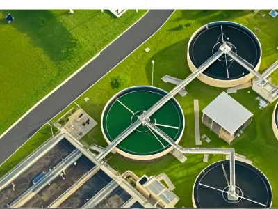 Bactéries bio-désodorisantes