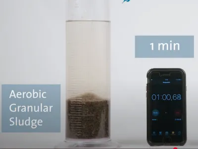 Bactéries bio-désodorisantes