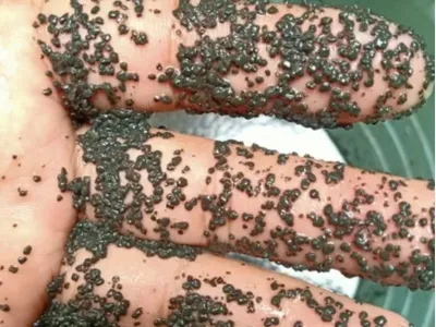 Bactéries bio-désodorisantes