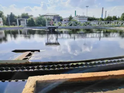 Bactéries de bio-détoxification