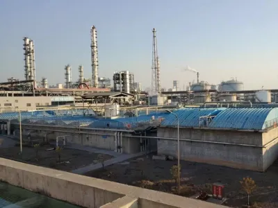 Bactéries d'élimination du COD (aérobies)