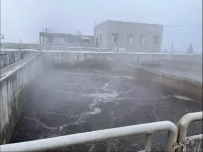 Bactéries d'élimination du COD (anaérobies)