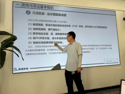 Bactéries d'élimination efficace du DMF