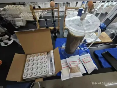 Bactéries d'élimination efficace du DMF