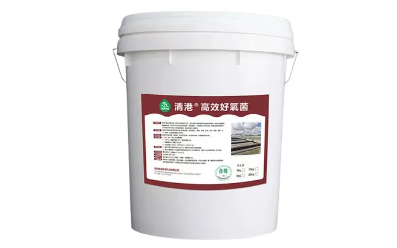 Bactéries aérobies à haute efficacité