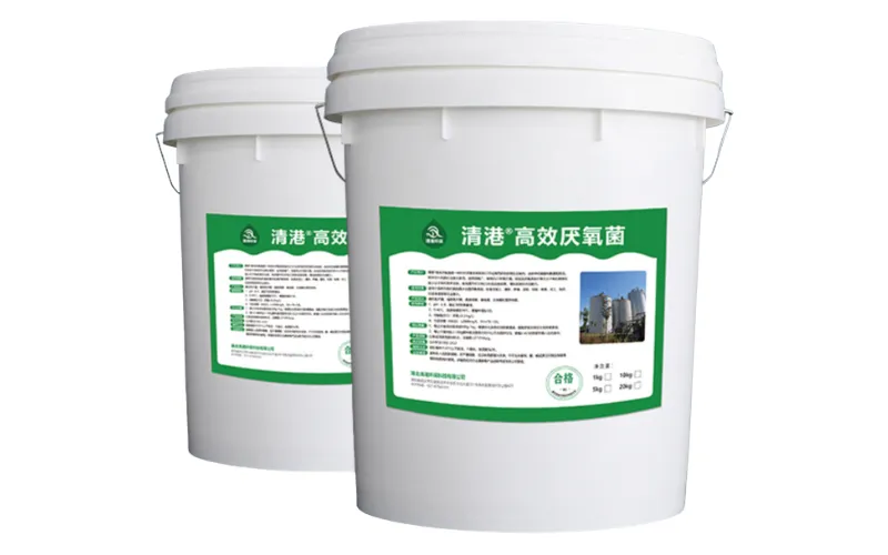 Bactéries anaérobies à haute efficacité