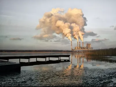 Bactéries anaérobies à haute efficacité