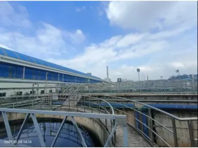 Bactéries d'acidification hydrolytique