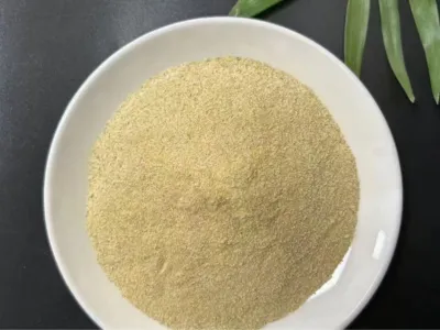 Bactéries d'élimination des huiles