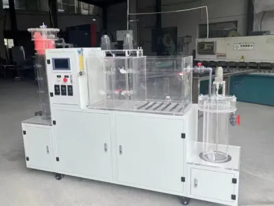 Bactéries d'élimination des huiles