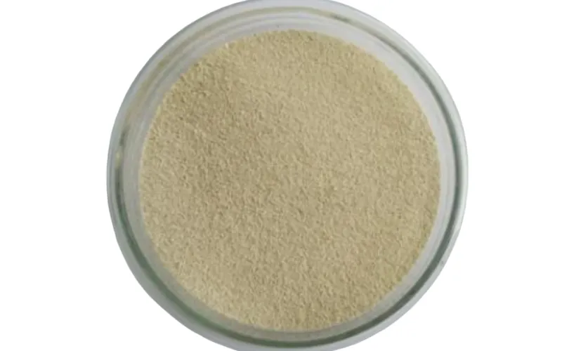 Bactéries accumulatrices de polyphosphates