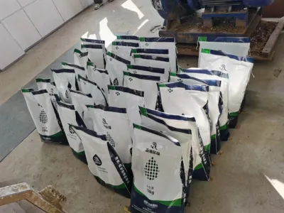 Bactéries accumulatrices de polyphosphates