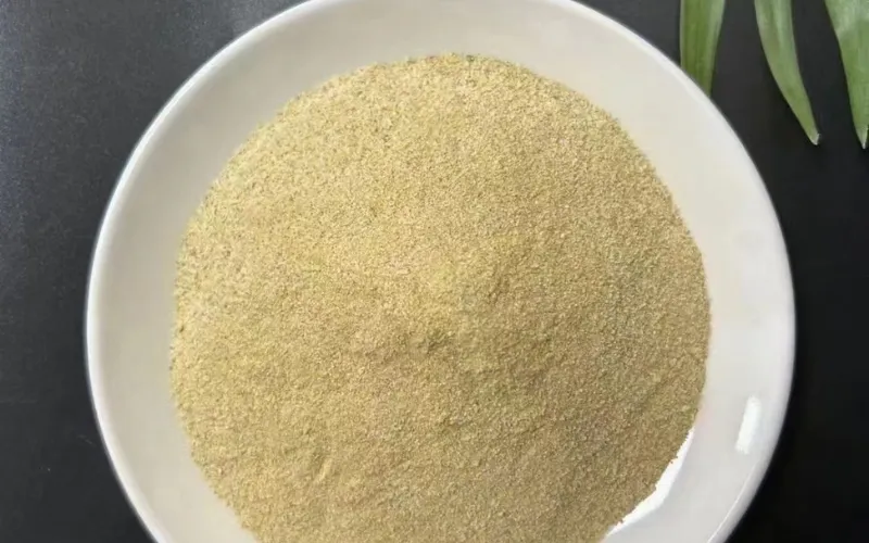 Bactéries d'élimination de l'azote ammoniacal tolérantes au sel