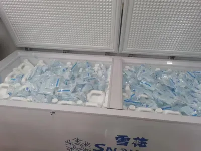 Bactéries d'élimination de l'azote ammoniacal tolérantes au sel