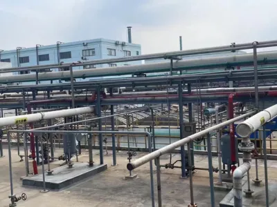 Bactéries d'élimination de l'azote ammoniacal tolérantes au sel