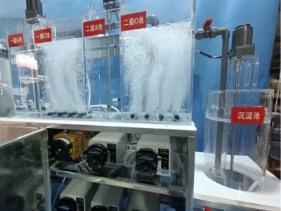 Bactéries d'élimination de l'azote ammoniacal tolérantes au sel