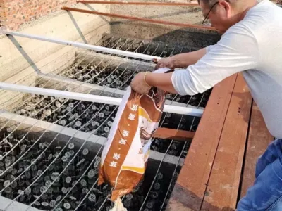 Bactéries d'élimination du soufre