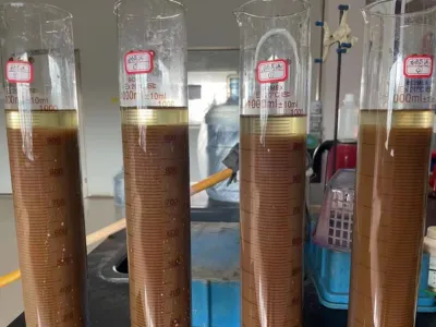 Bactéries d'élimination totale de l'azote